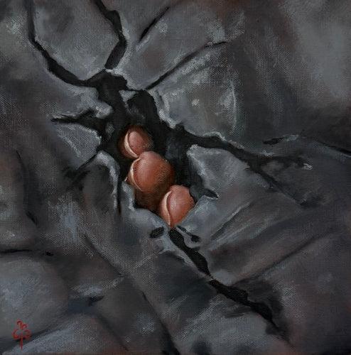 11. Appearing by Brooke Bartholomew