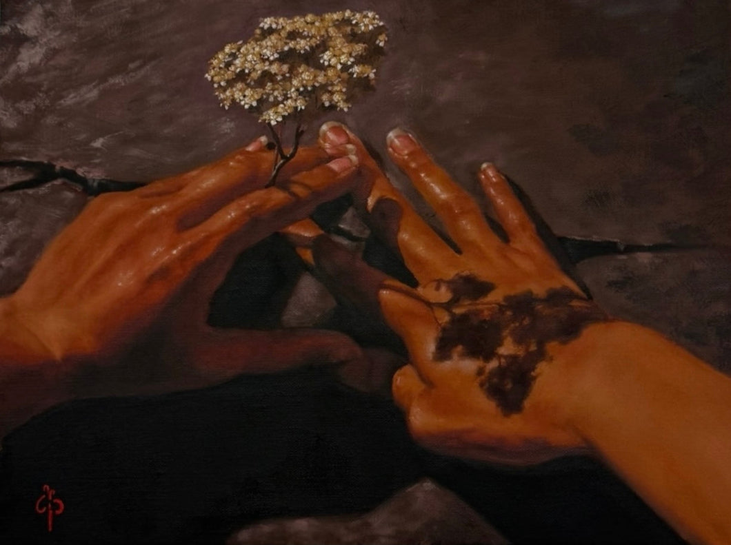 10. Creation by Brooke Bartholomew